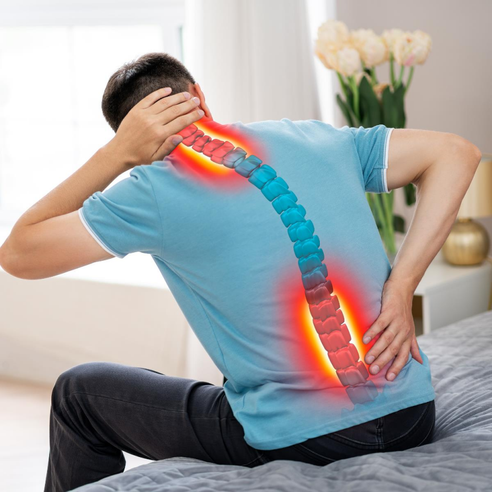 Spondiloz (kireçlenme)  Danışmanlığı (Yüz Yüze)