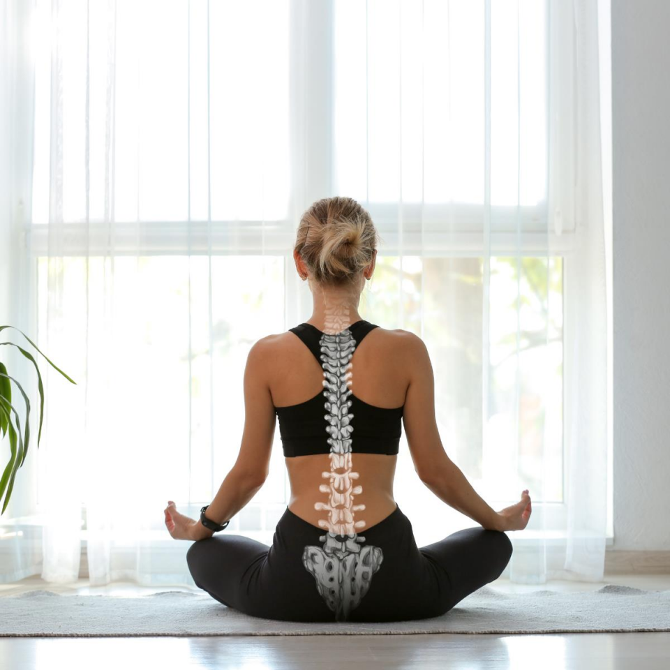 Sırt Problemleri İçin Egzersiz Danışmanlığı (Online)