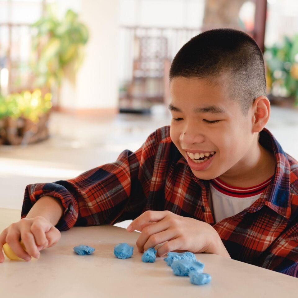 Özel  Bireylerde Ergoterapi (Online)