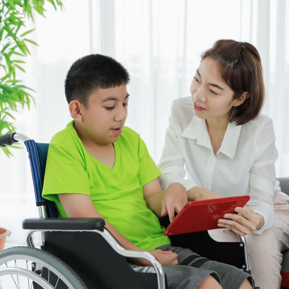 Nörogelişimsel Bozukluklarda Ergoterapi (Online)