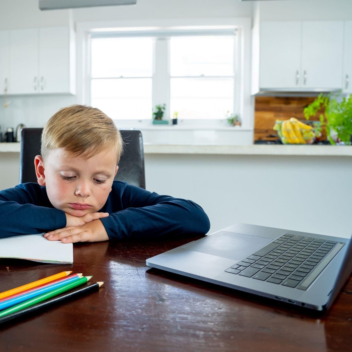 Dikkat Eksikliğinde Duyu Bütünleme (Online)