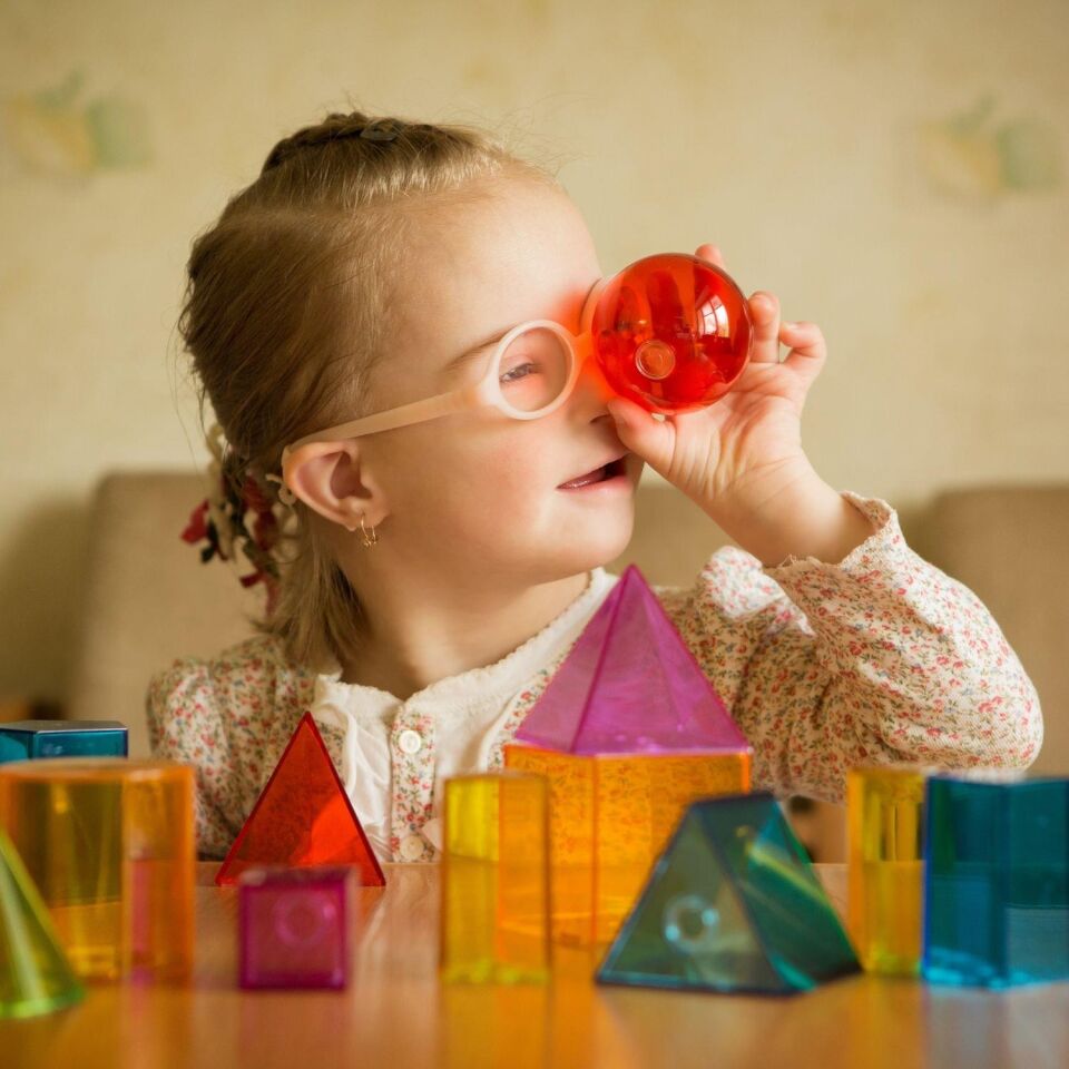 Dikkat Eksikliğinde Duyu Bütünleme (Online)