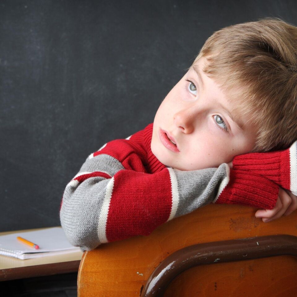 Dikkat Eksikliğinde Duyu Bütünleme (Online)