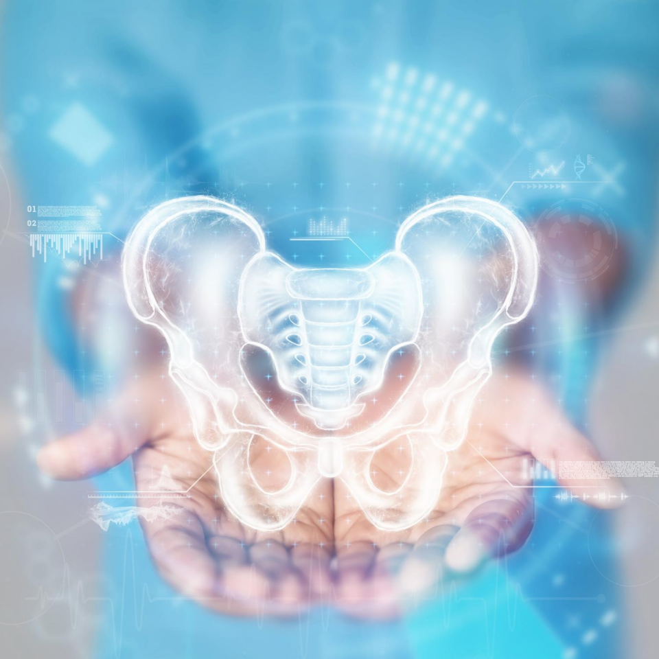 Kronik Pelvik Ağrı Egzersiz Danışmanlığı (Yüz Yüze)