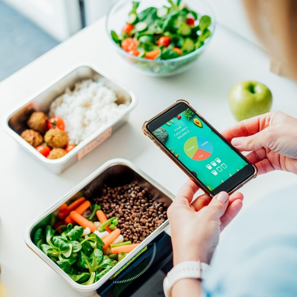 Kilo Alma Danışmanlığı (Online)