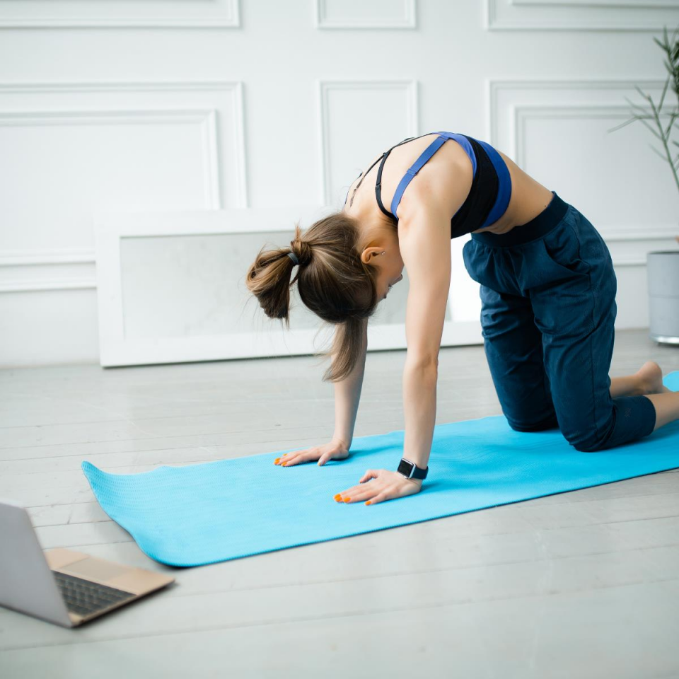 Omurga Problemleri İçin Egzersiz Danışmanlığı (Online)