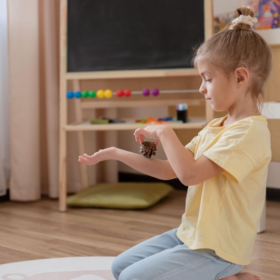 Gelişimsel Gecikmede Duyu Bütünleme (Online)