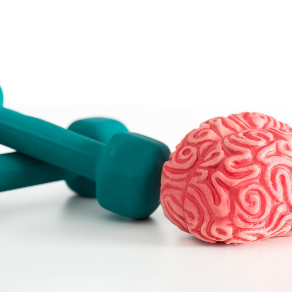 Nörolojik Hastalıklar İçin Fizyoterapi Danışmanlığı (Yüz Yüze)